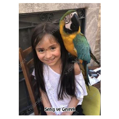 Dev Poster 60x90cm Tek Fotoğraflı Branda