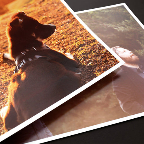 5 Adet 32x48cm Poster Kuşe